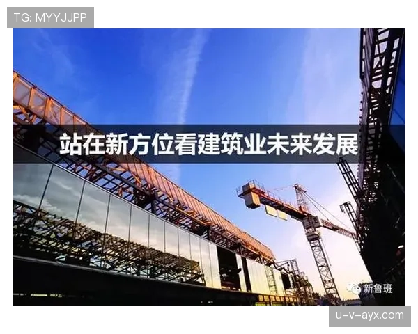 维拉球队结构深度剖析：新战略引领未来发展引关注