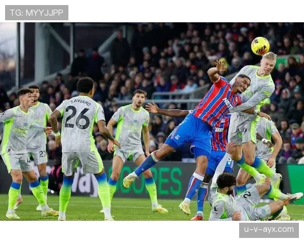 纽卡斯尔联强势崛起,2025英超争冠前景备受瞩目 纽卡斯尔联强势崛起,2025英超争冠前景备受瞩目