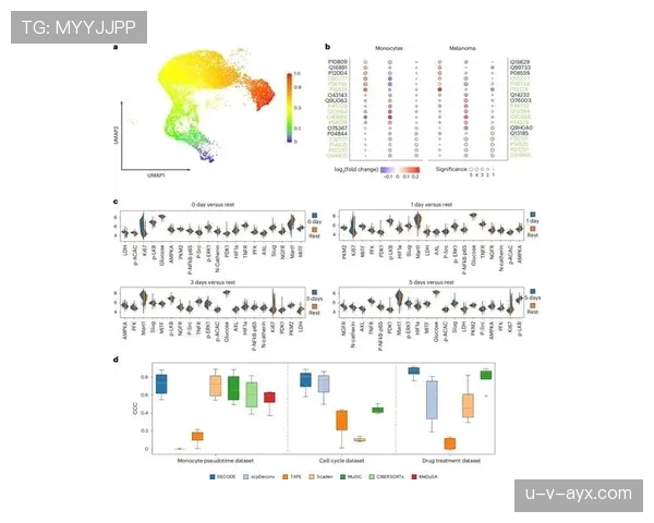 齐达内与莫德里奇在组织推进上出现分化趋势
